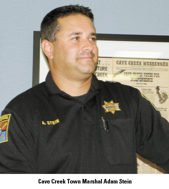 adam stein